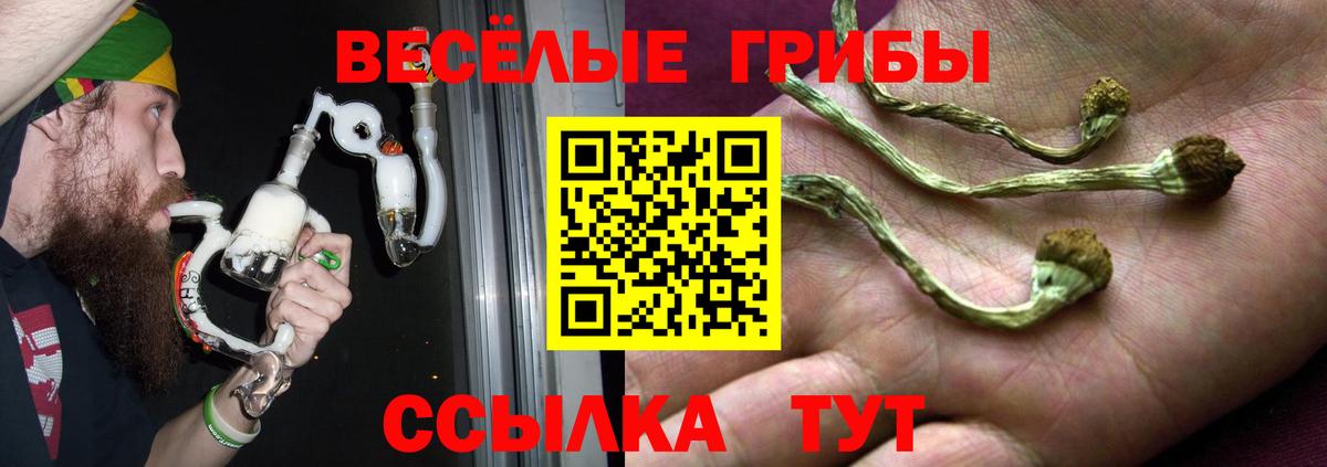 Галлюциногенные грибы Magic Shrooms Урус-Мартан