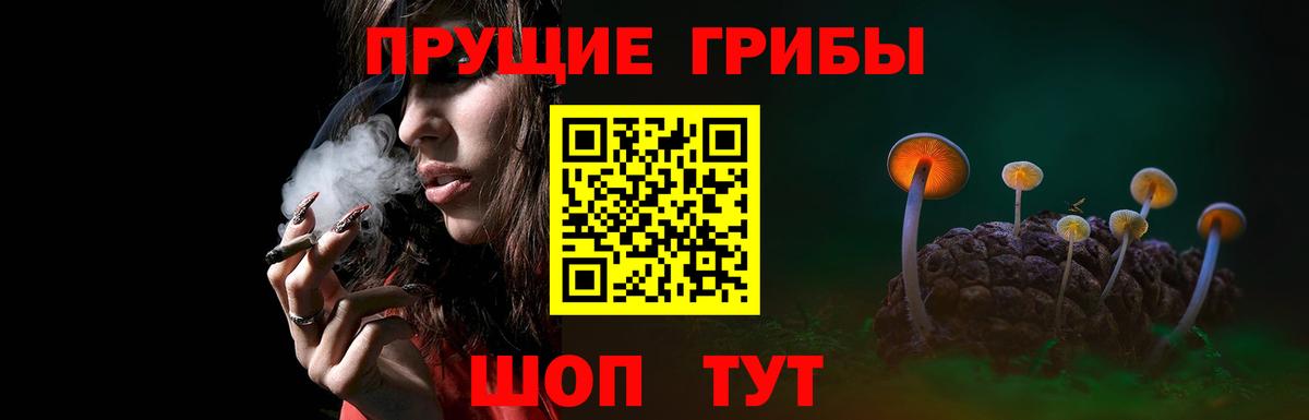 хочу   Вход с VPN  Урус-Мартан  Псилоцибиновые грибы Magic Shrooms 